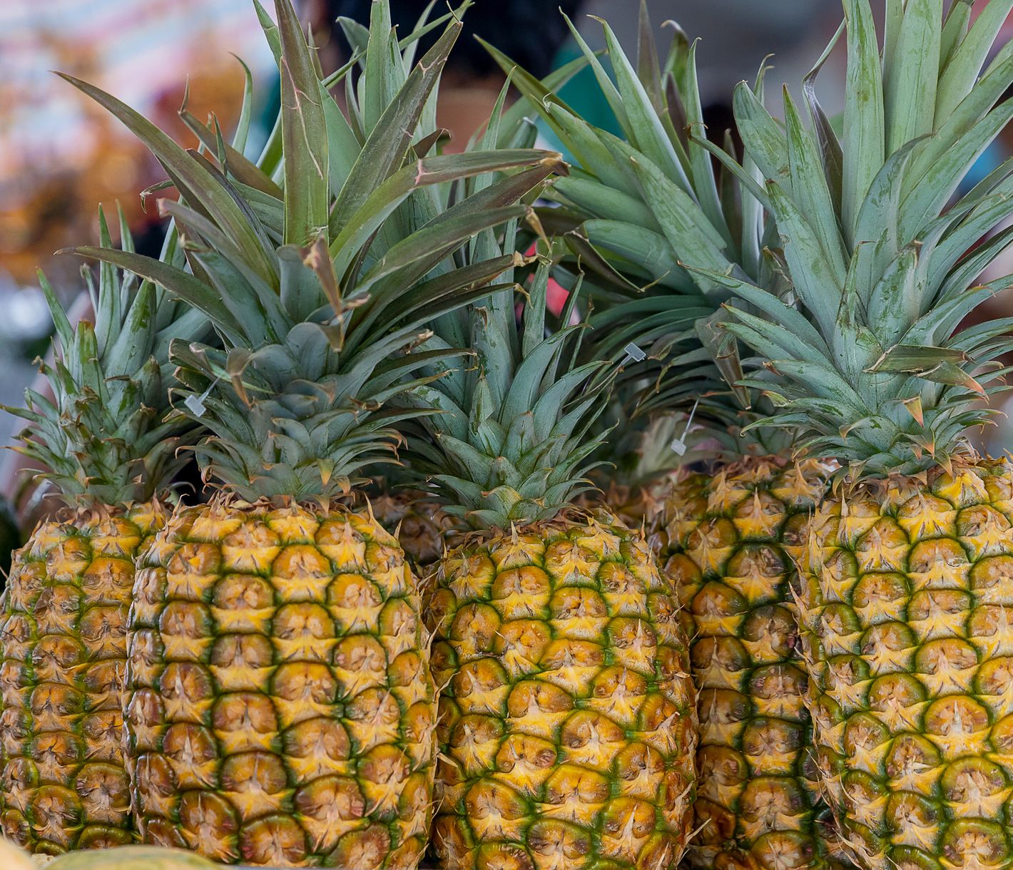 Es lohnt sich einen Farmers Markt auf Hawaii zu besuchen.