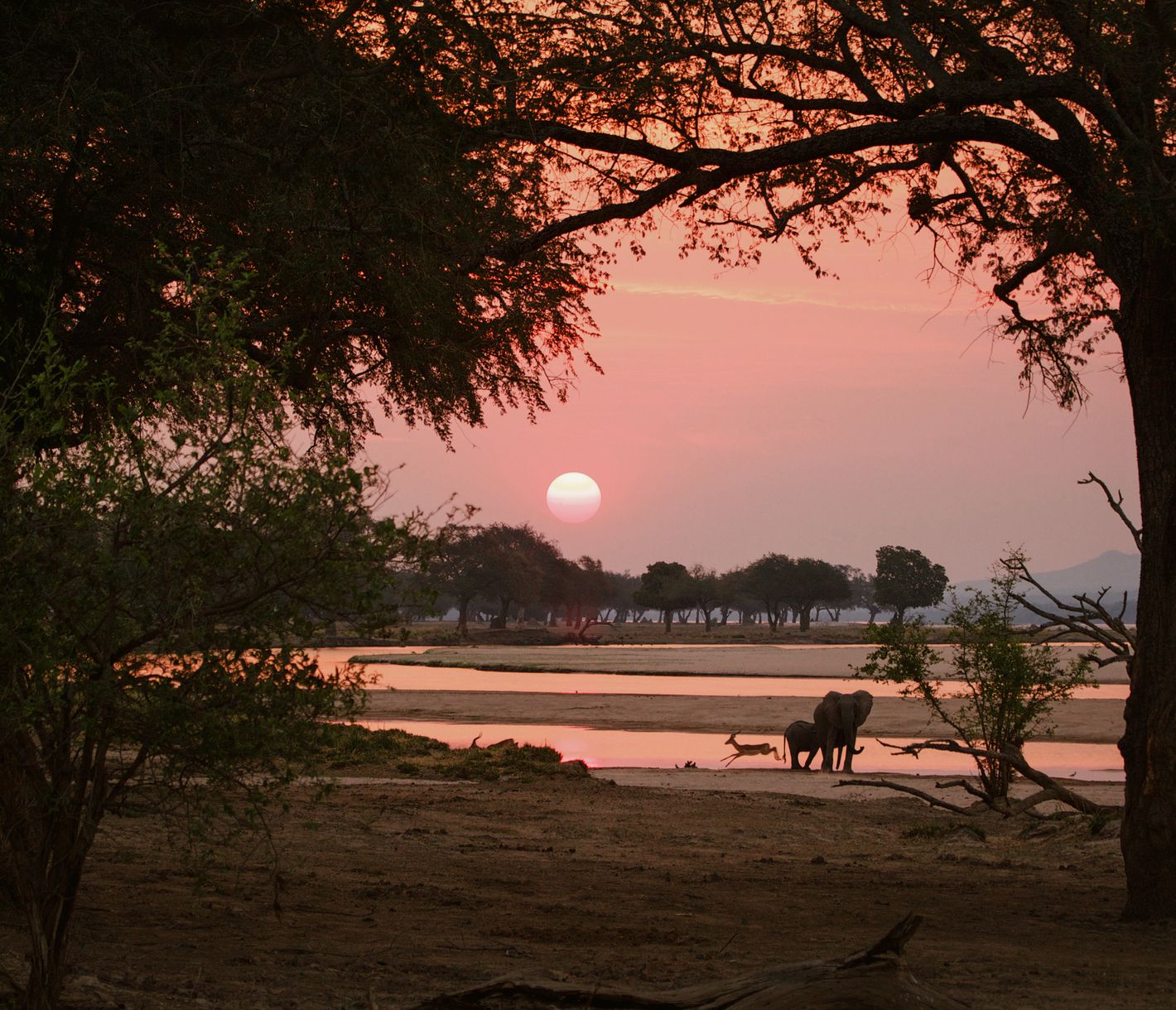 Rien de tel que d'apprécier la quiétude du coucher du soleil dans le parc de Mana Pools....