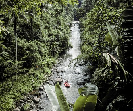Wildwasserfahrt durch den Dschungel