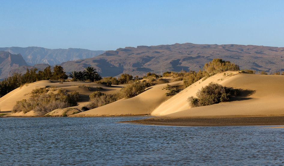 Naturschutzgebiet La Charca