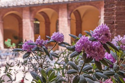 Il Chiostro del Carmine