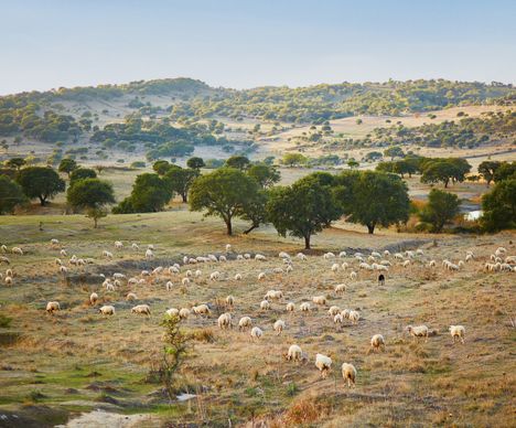 La Sardaigne à l’image d’une carte postale