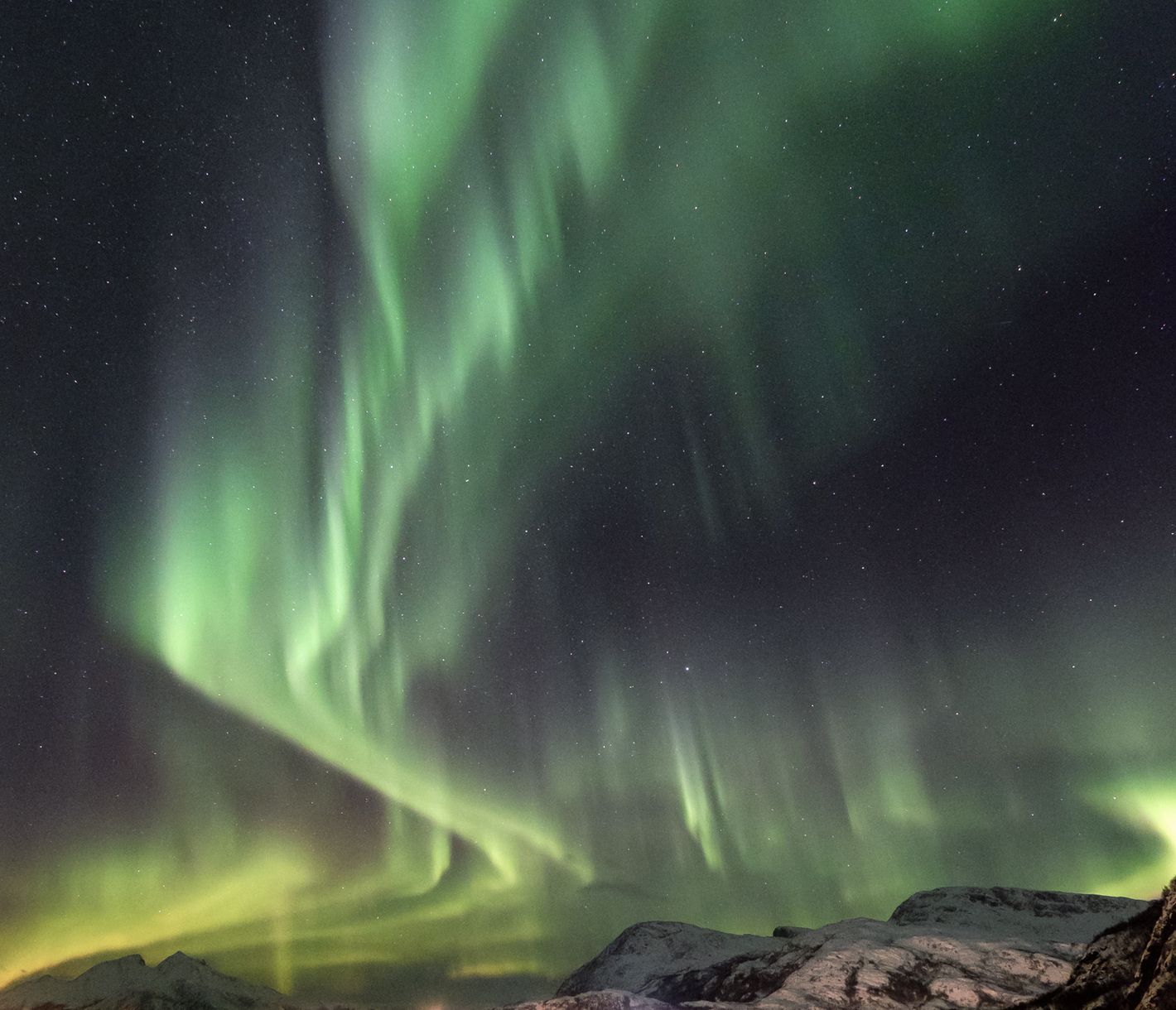 Draussen auf dem Wasser sind die magischen Nordlichter besonders gut zu sehen