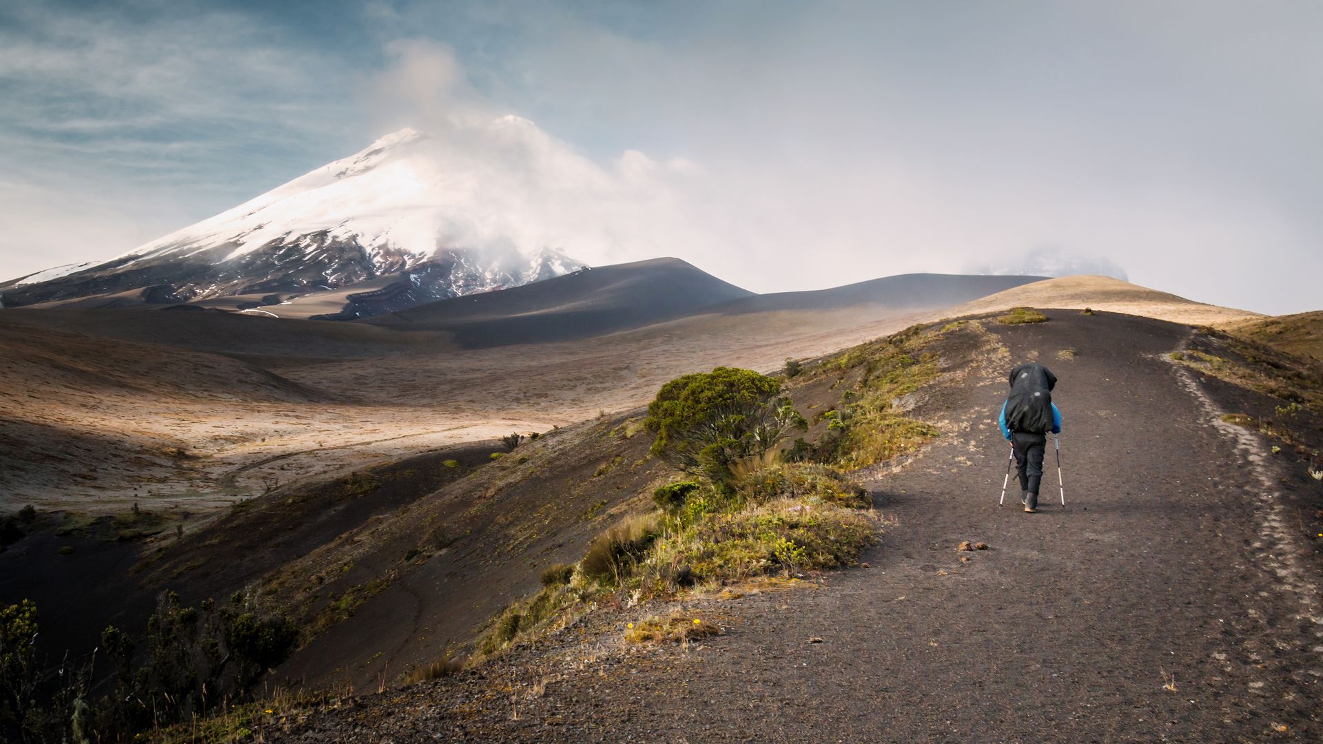 En harmonie avec la nature