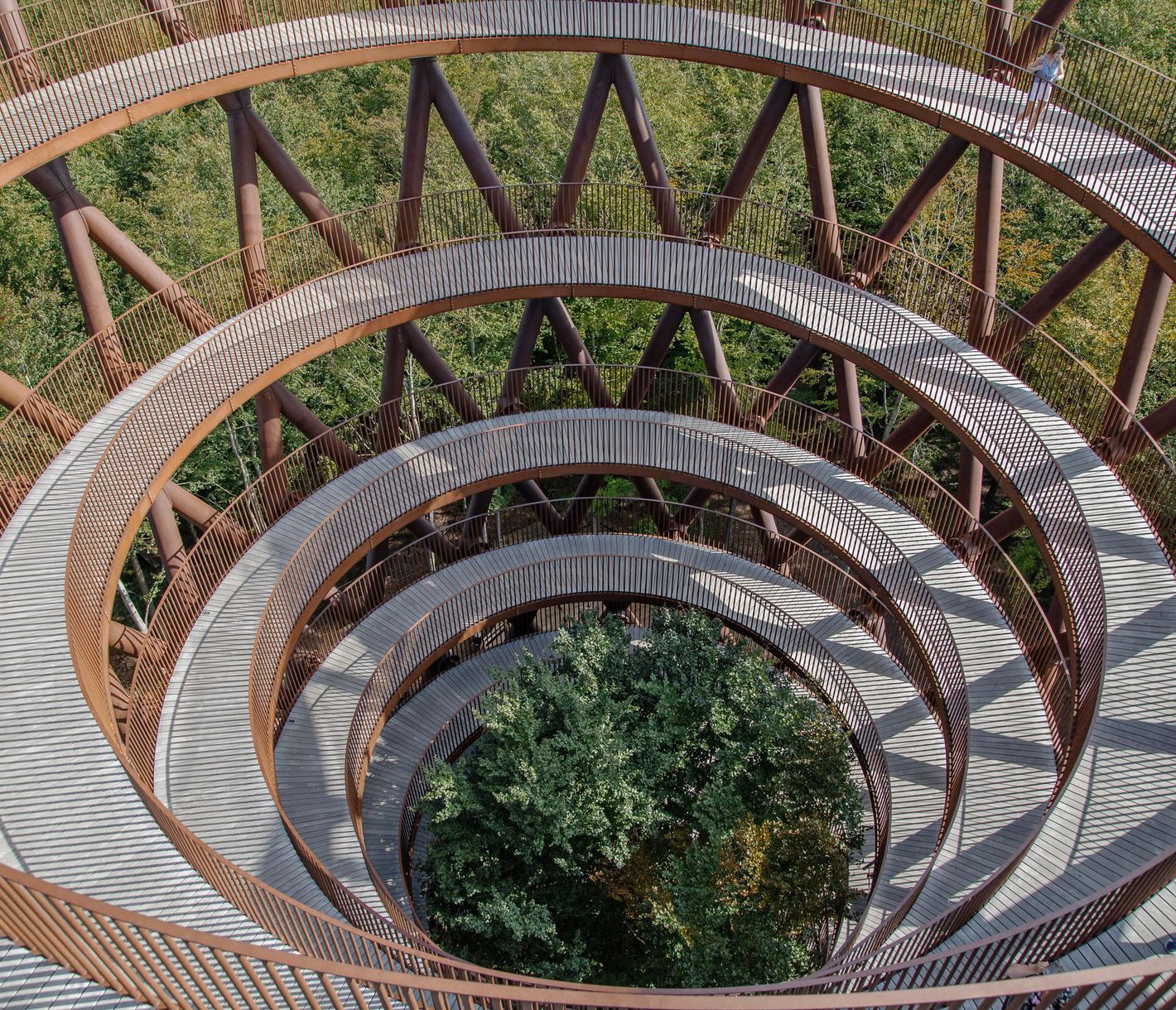Panoramasicht über Wälder bis zur Küste