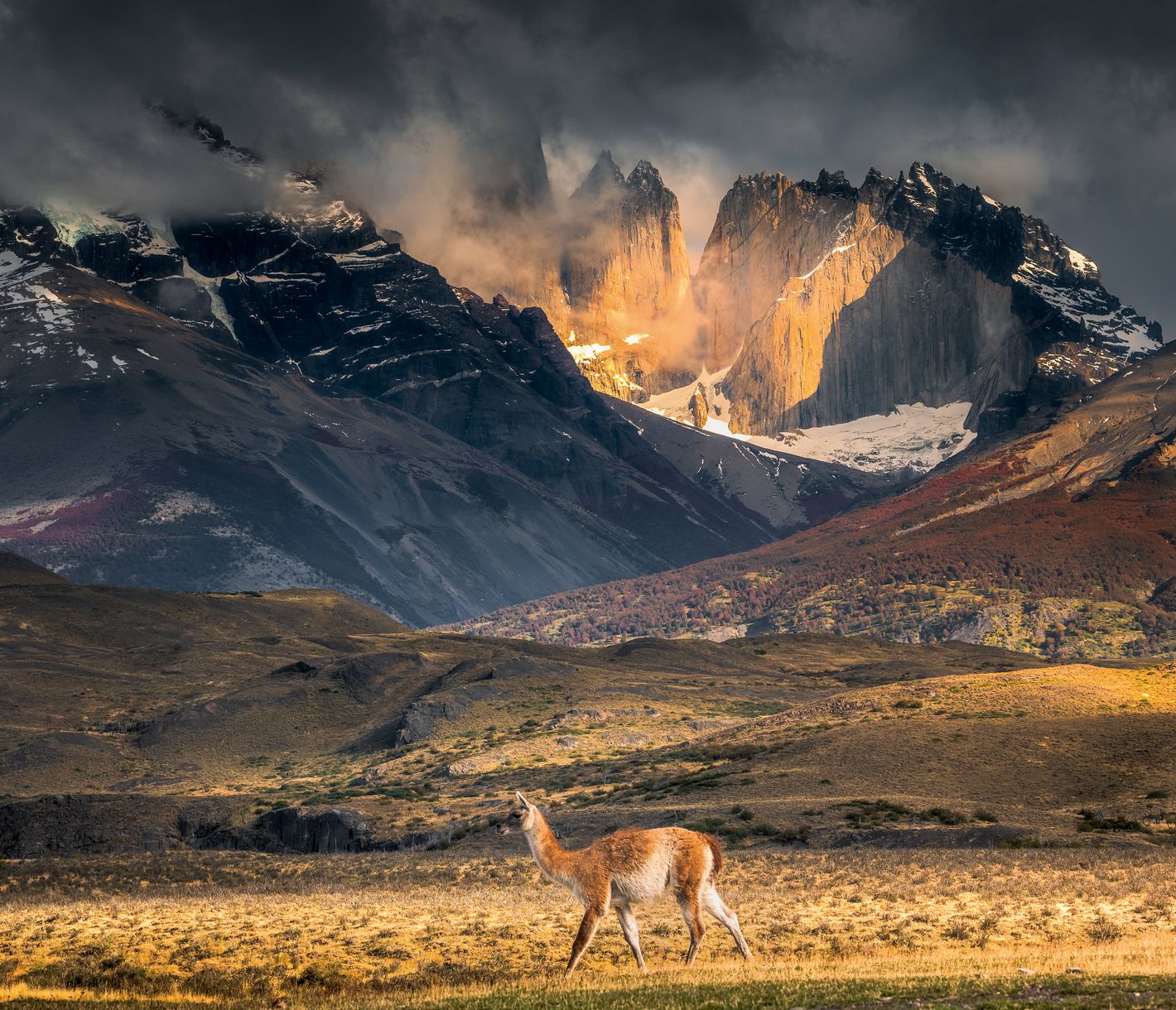 Traumkulisse Torres del Paine Nationalpark