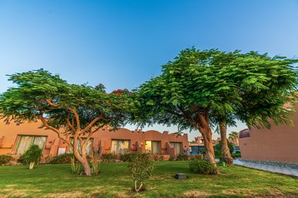 13. Bild der Unterkunft