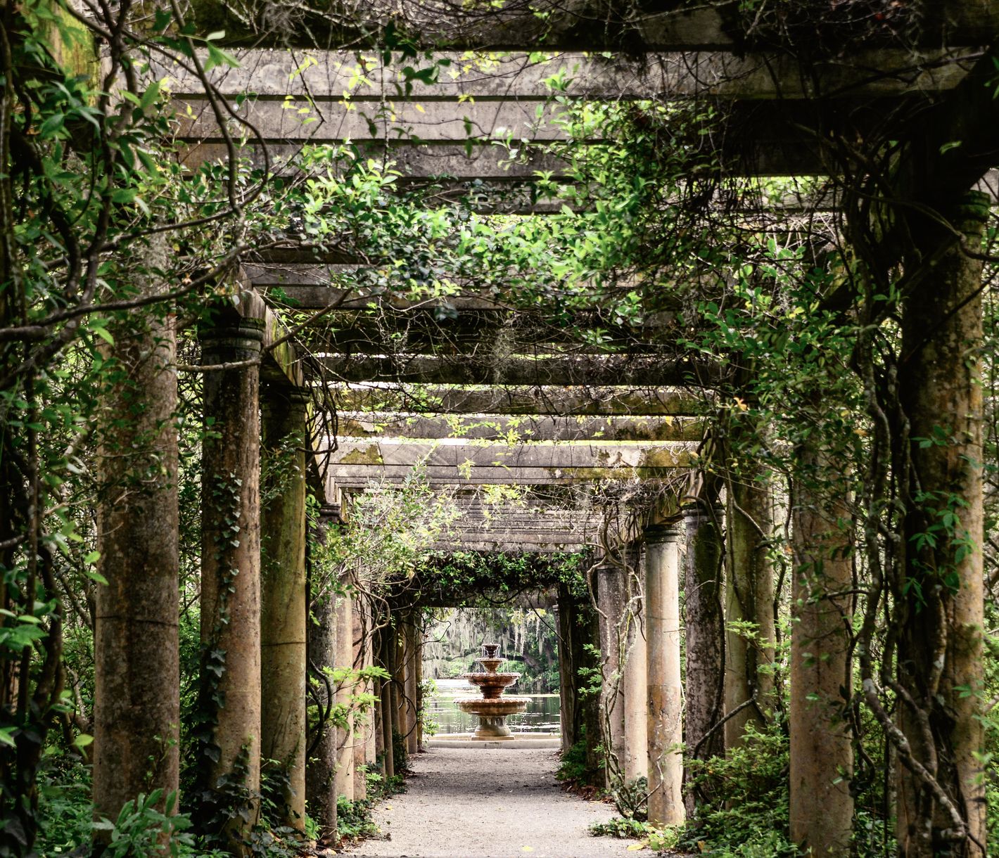 Airlie Garden in Wilmington, North Carolina