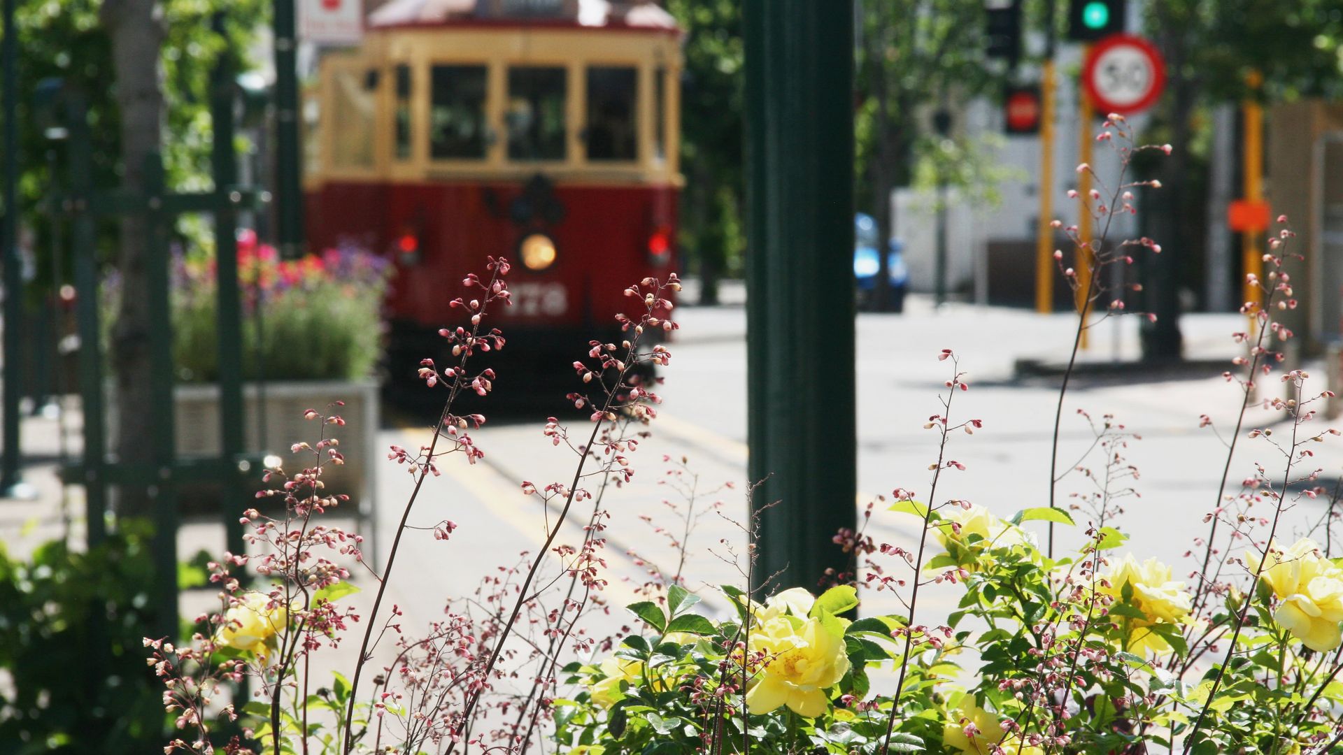 Tram in Christchurch