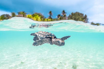 12. Image de l'établissement