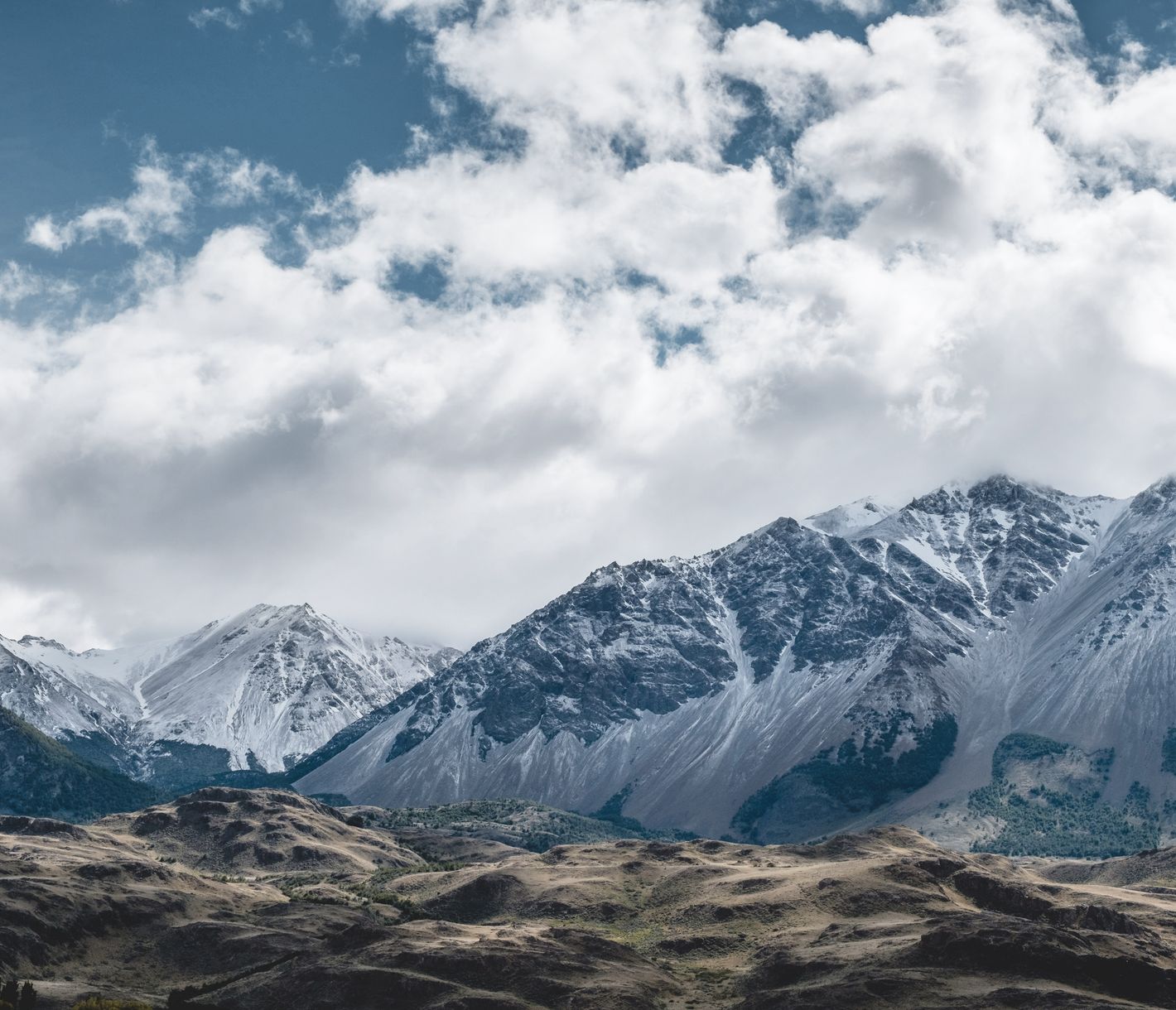 Auf vier Rädern und zwei Beinen