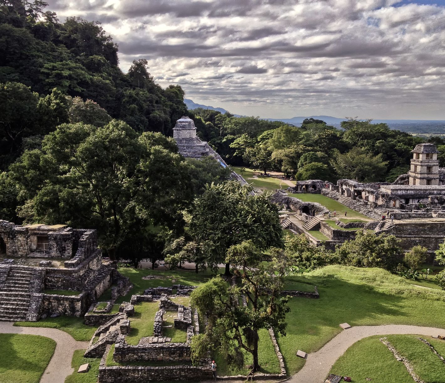Vom Dschungel verschlungen
