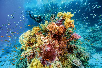 11. Bild der Rundreise