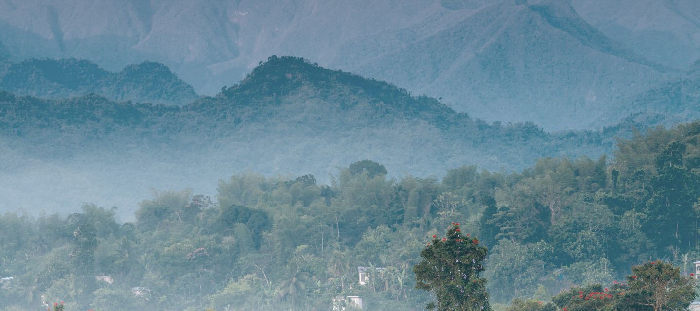 Jamaikas Blue Mountains sind nach ihrem blauen Morgendunstschleier benannt.