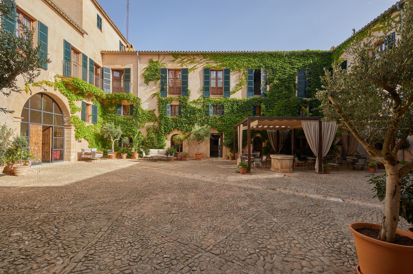 Cour
