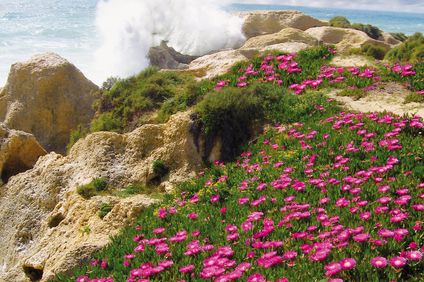 12. Bild der Unterkunft