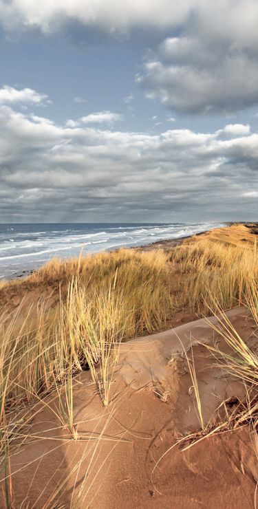 Prince Edward Island Reisen