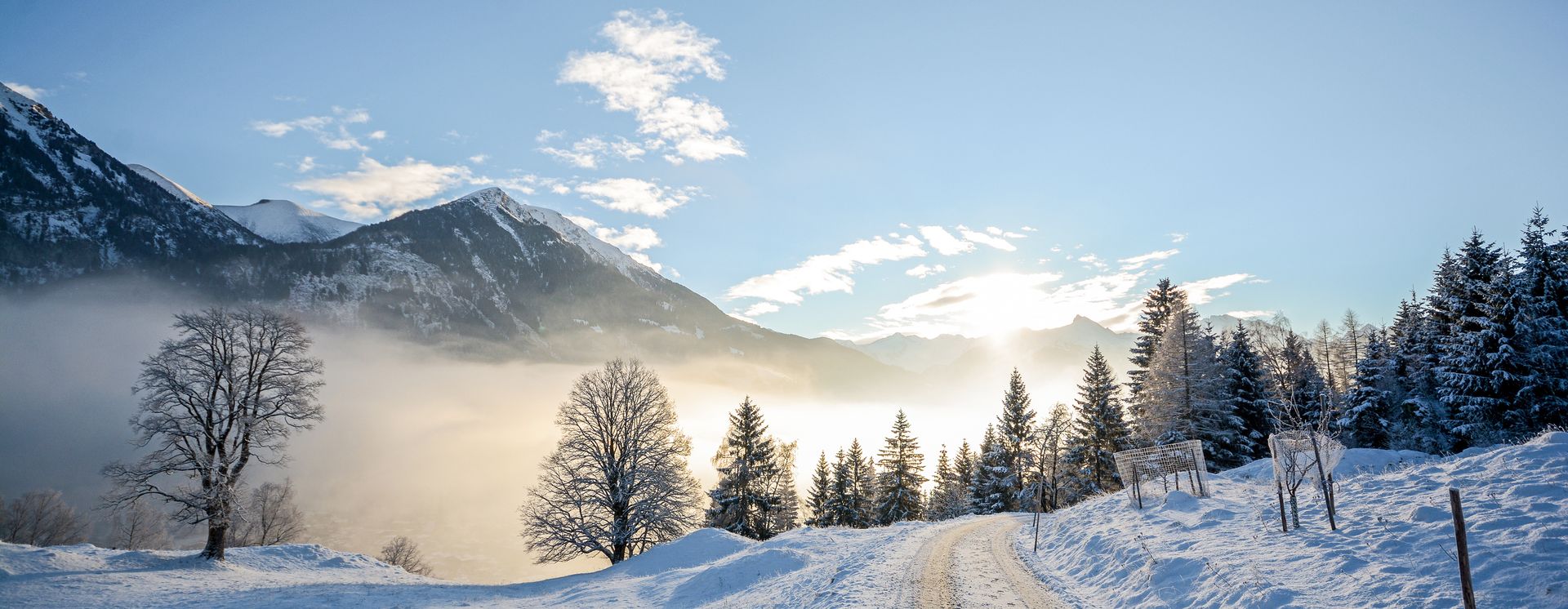 Winterwandern in Kitzbühel