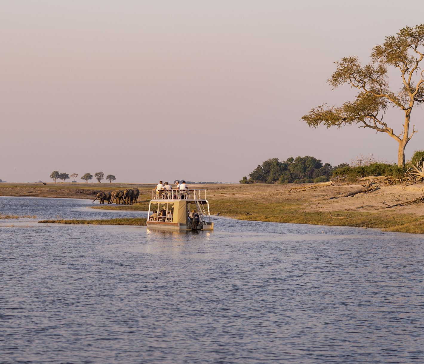 Bootsfahrt auf dem Chobe-Fluss in Botswana