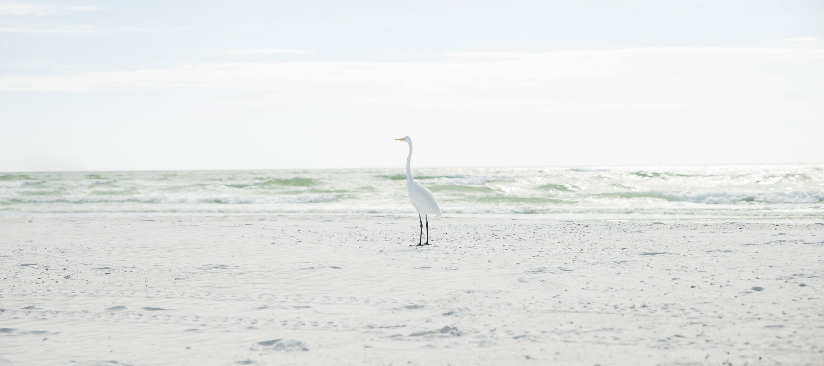 Sarasota Beach an der Golfküste von Florida