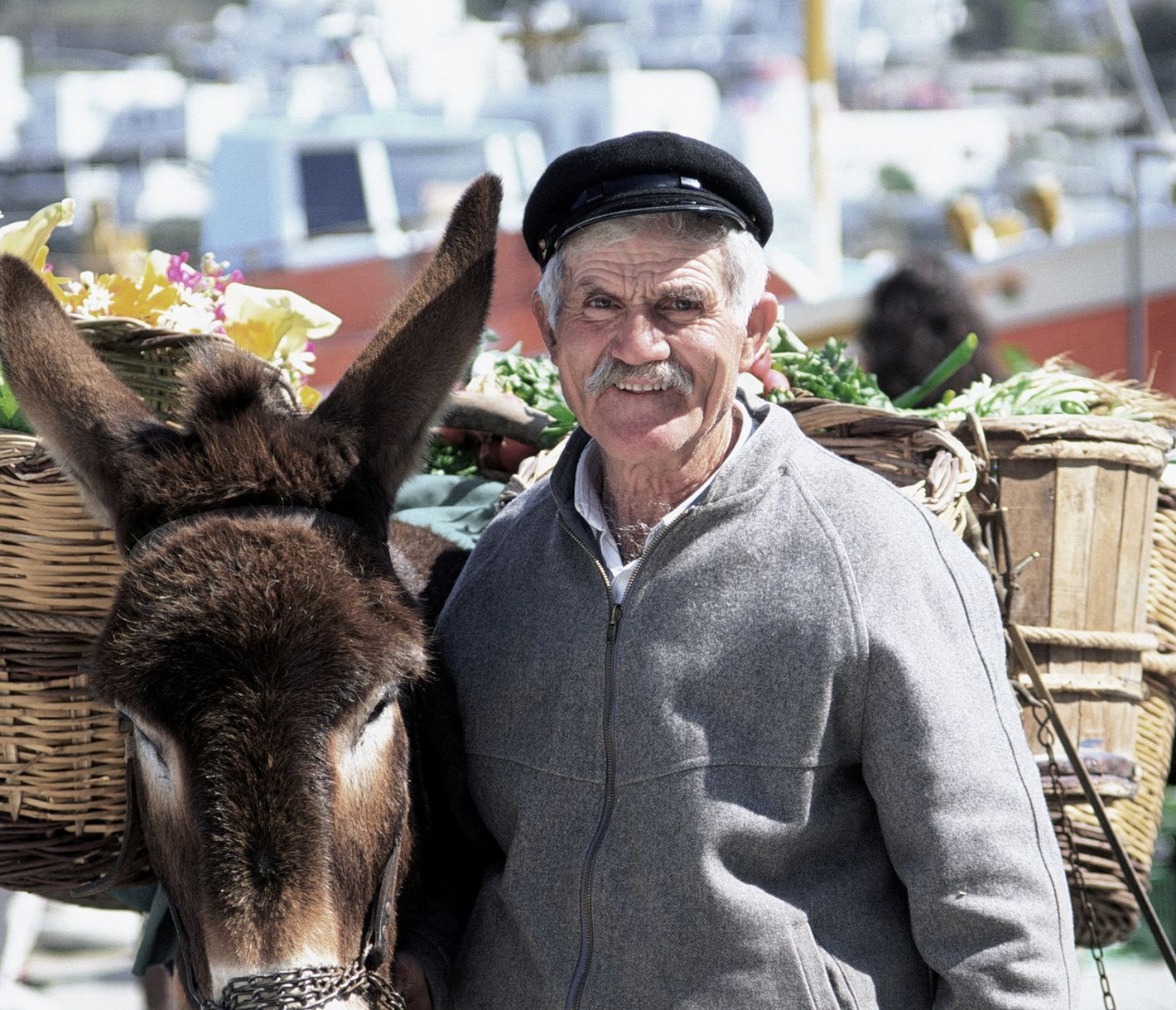 Auf dem Weg zum Markt – der Blumenverkäufer mit dem traditionellsten griechischen Transportmittel