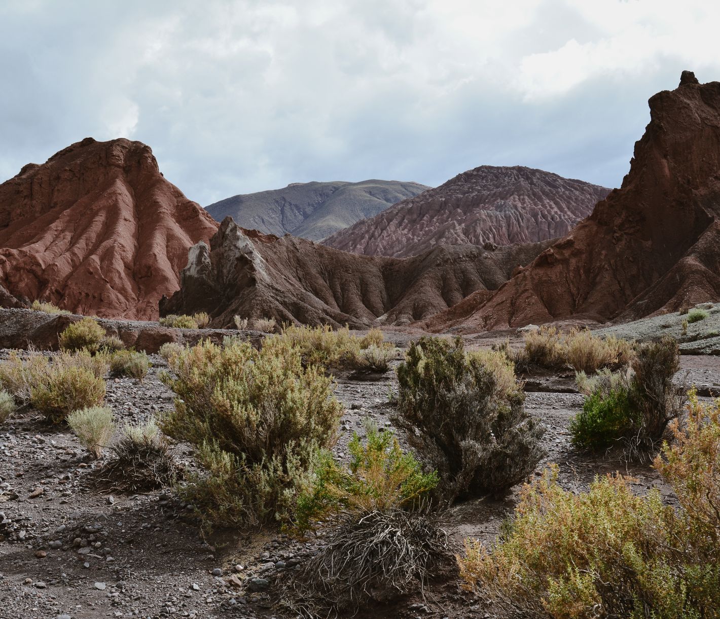 Beobachten Sie frei lebende Lamas und wilde Esel auf dem Weg ins Regenbogental.