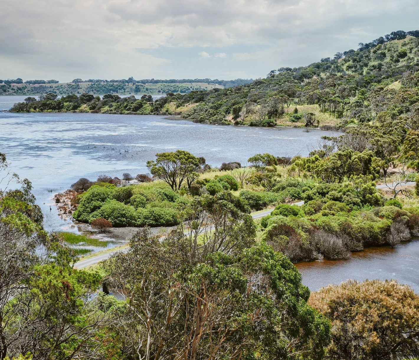 Tower Hill Wildlife Reserve