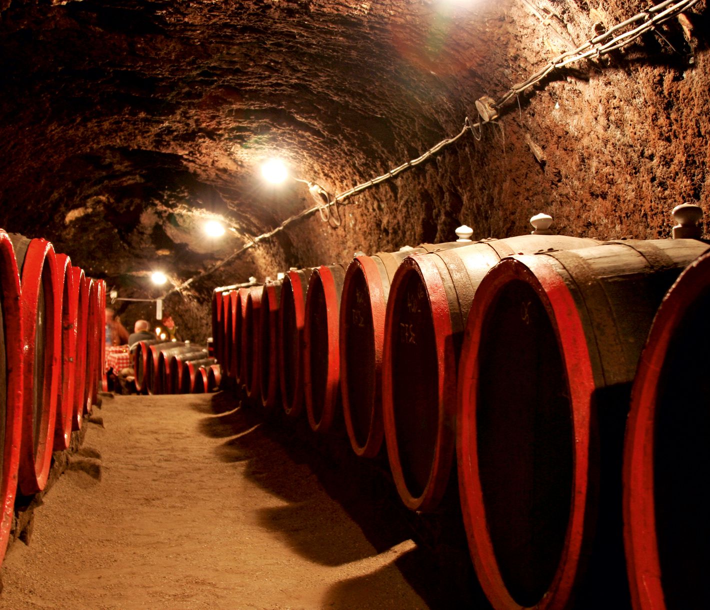 Budapest und Umgebung – ein Paradies für Weinliebhaber.