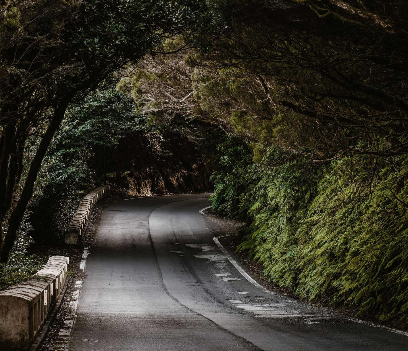 Strasse durch den Parque Rural de Anaga – Ein Naturparadies auf Teneriffa