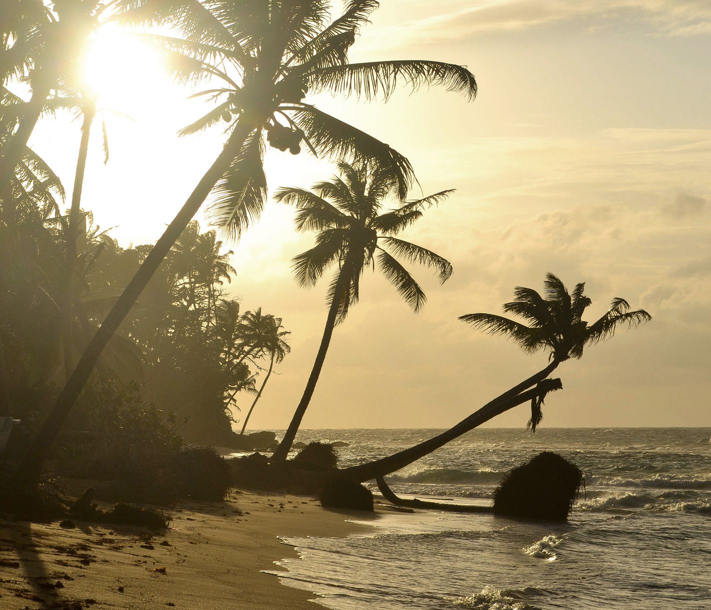 Abschluss einer grandiosen Reise