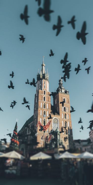 Im Zentrum der Altstadt von Krakau liegt der Marktplatz.