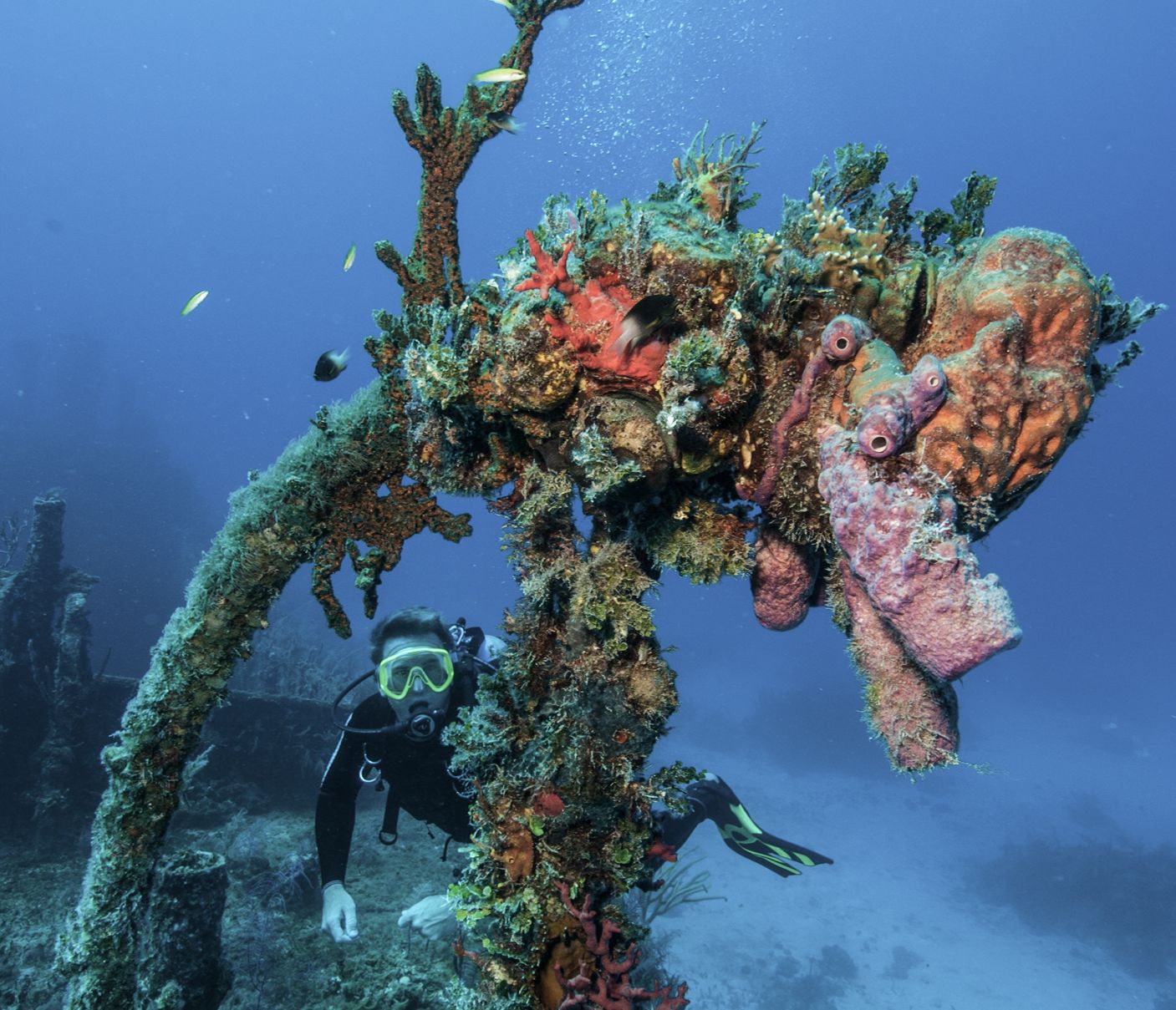 Comberbach-Schiffswrack Long Island