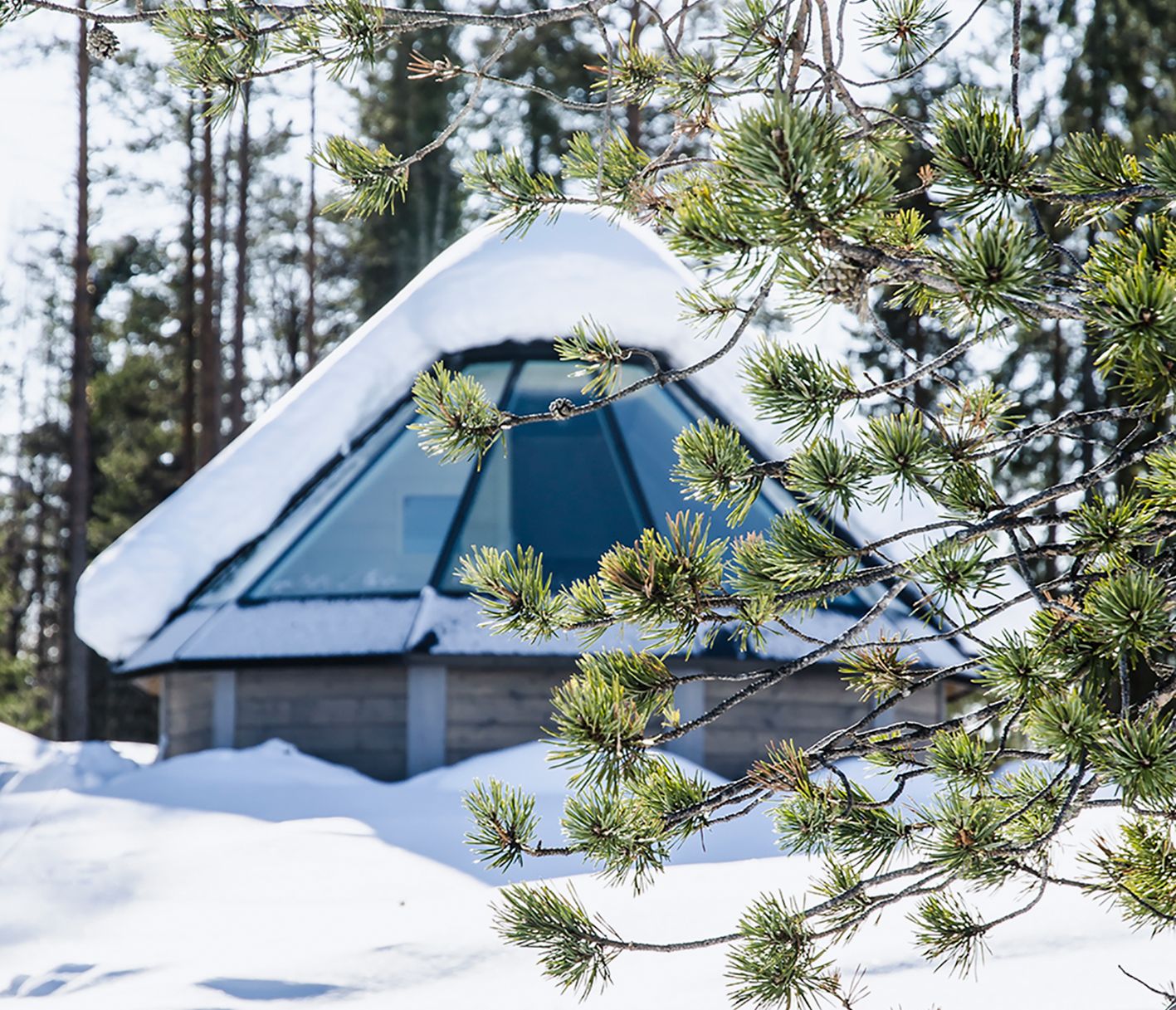 Wie wäre es mit einer Nacht unter einem Glasdach?