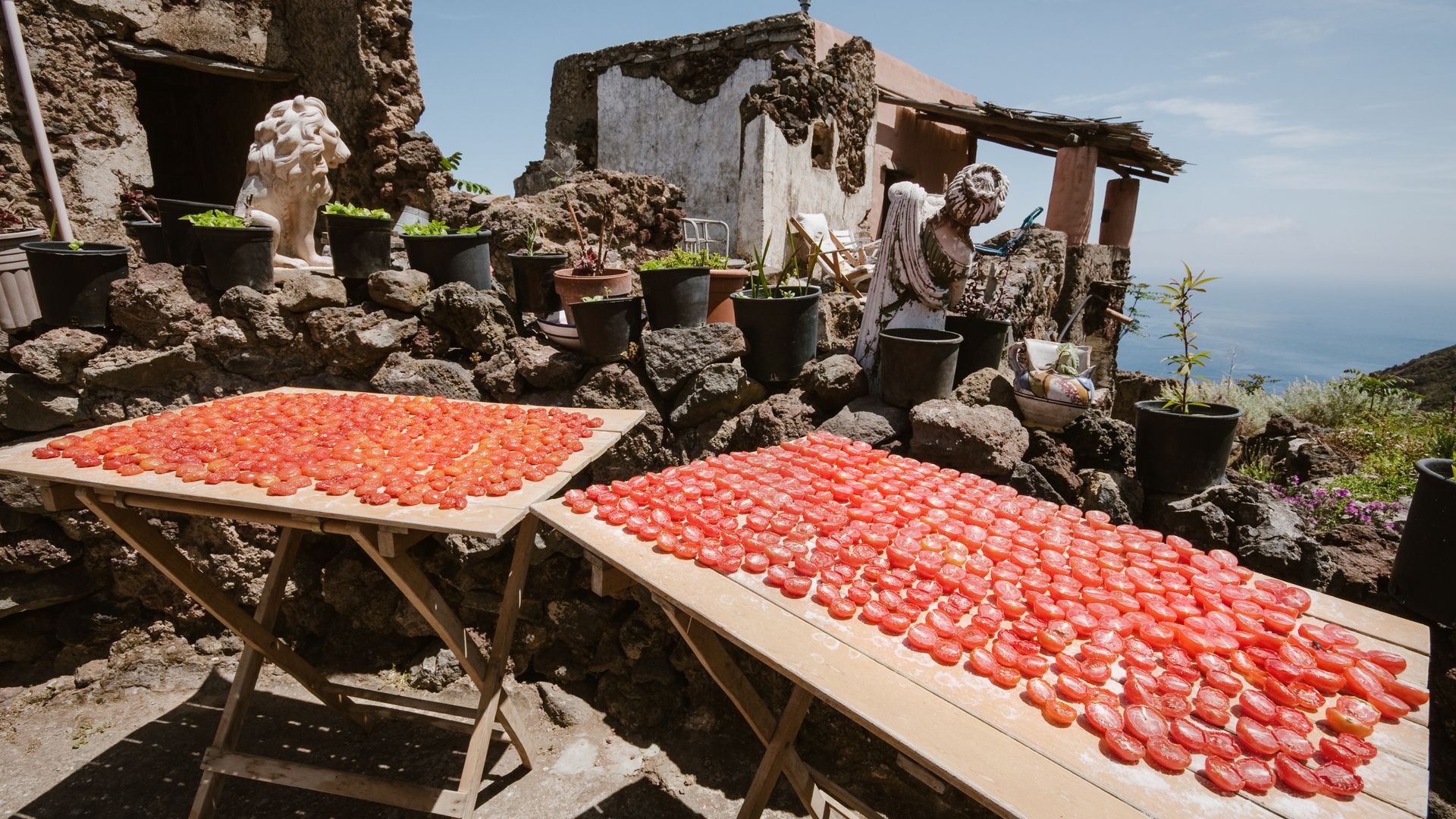 Getrocknete Tomaten in der Sonne