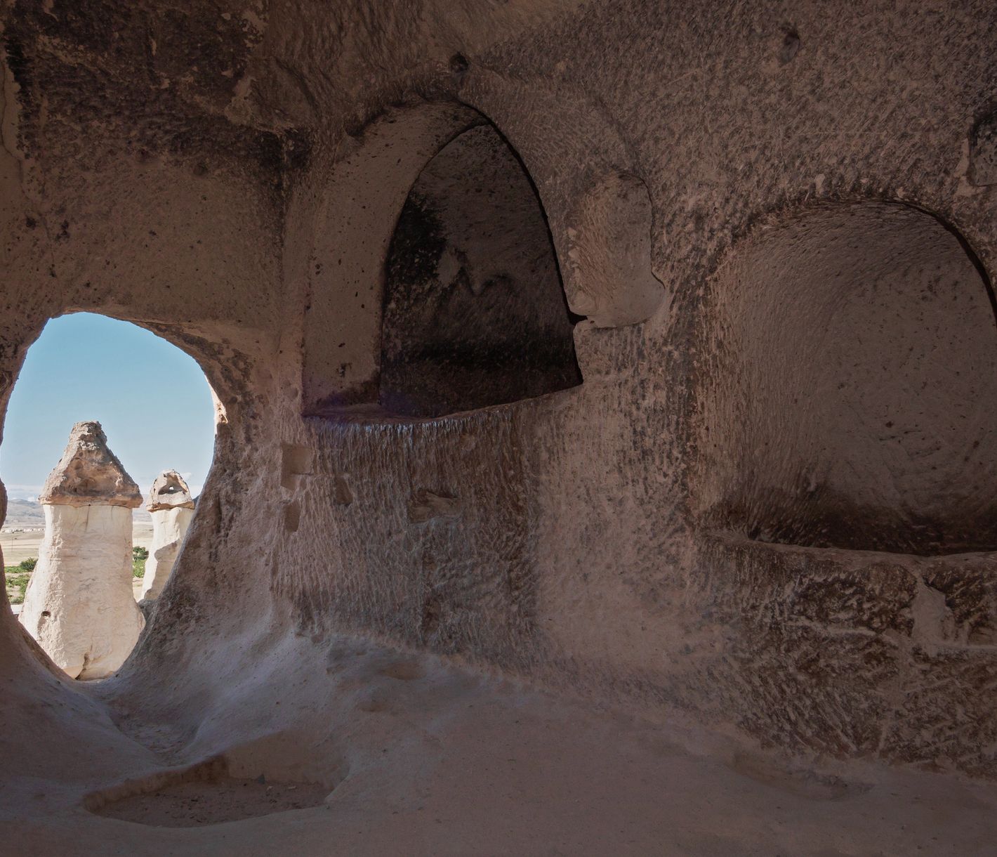 Quand la nature laisse libre cours à une imagination débridée...