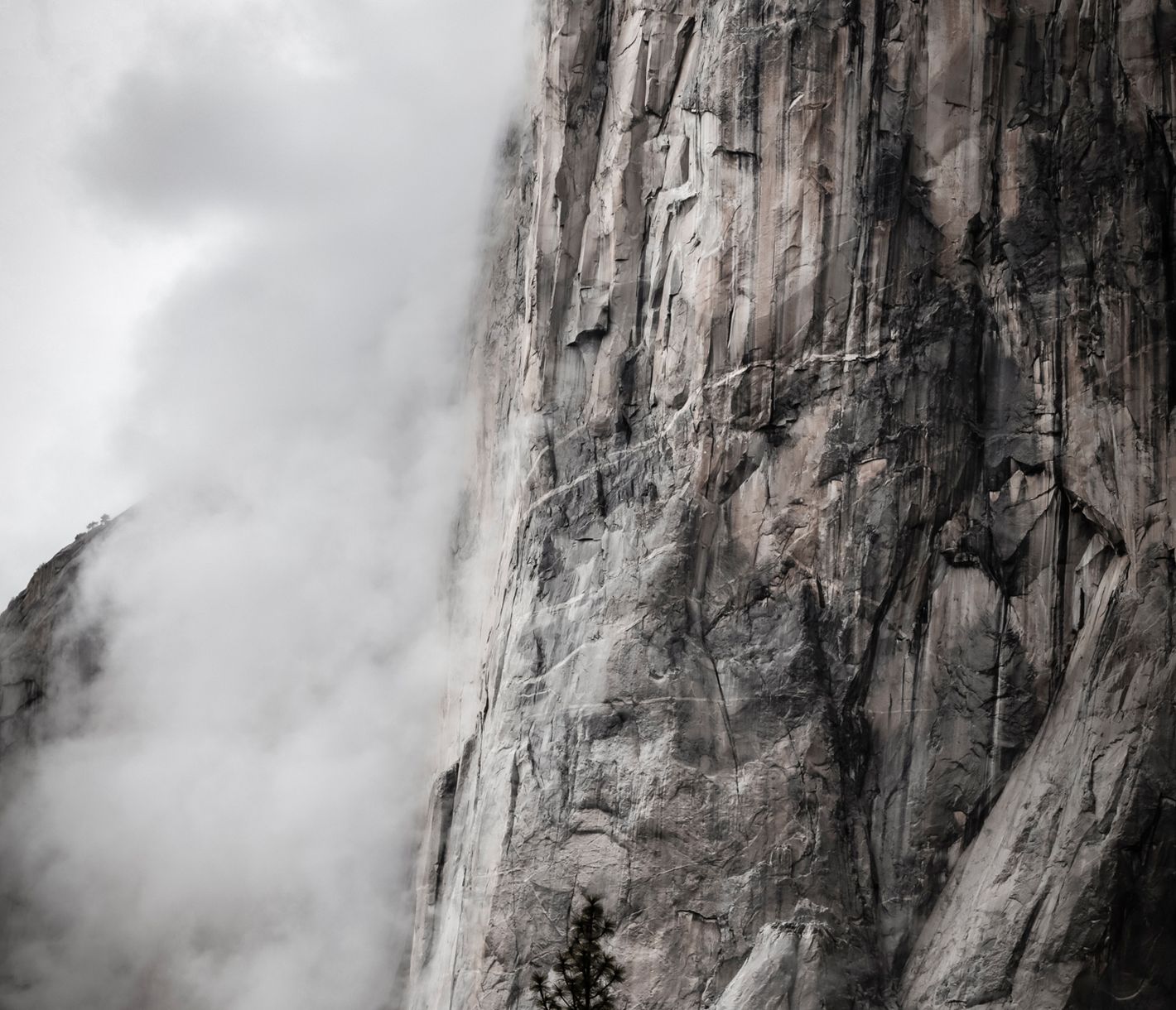 El Capitan – der wohl bekannteste Granit-Monolith der Welt