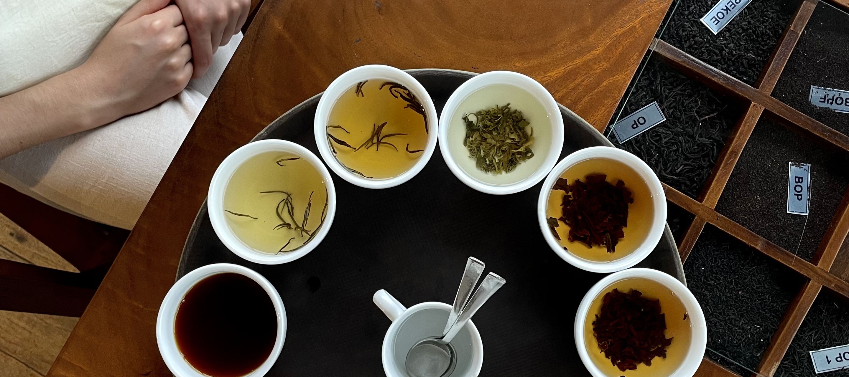 Tea Tasting Nuwara Eliya