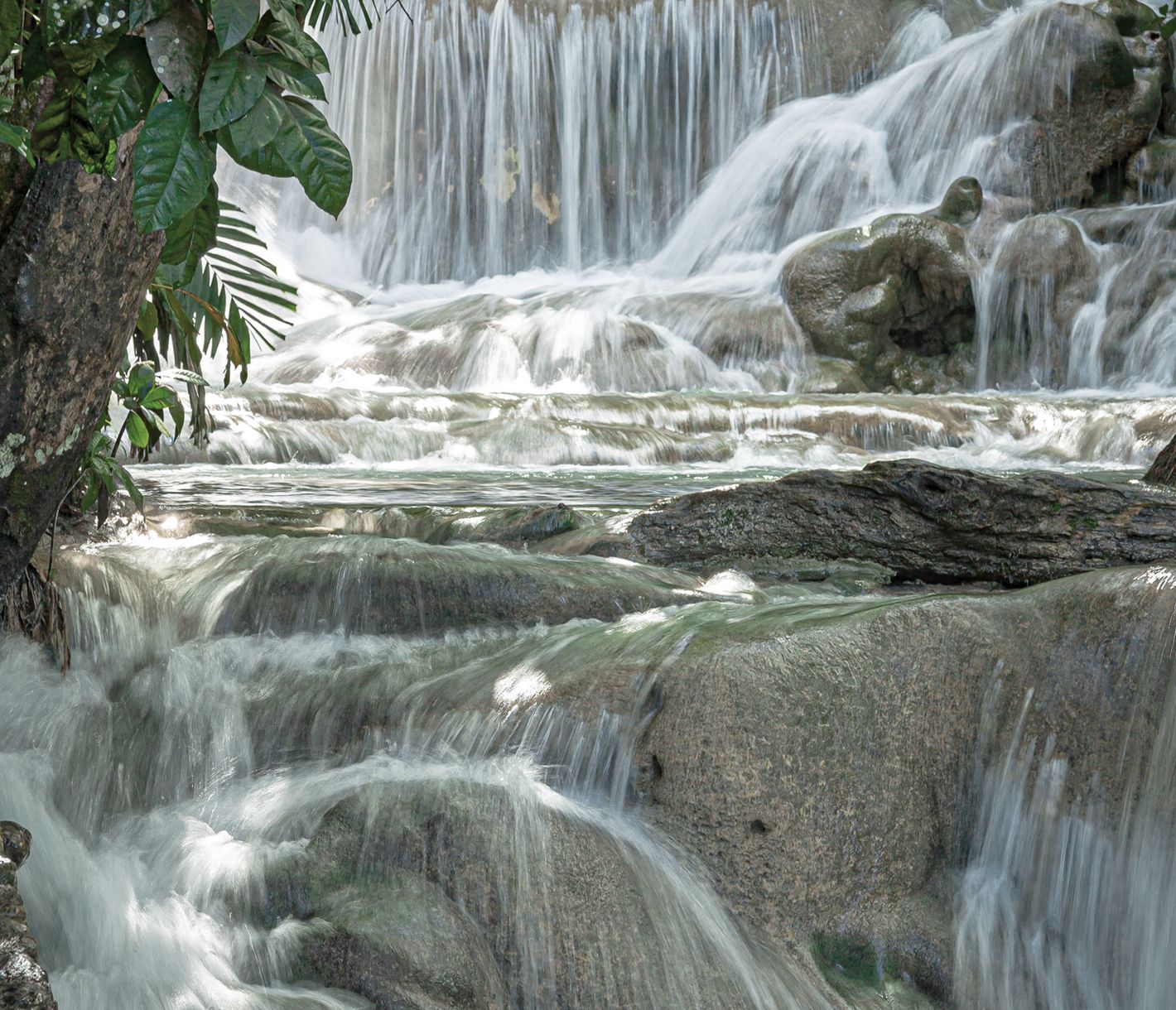 Die Dunn’s River Falls münden direkt ins Karibische Meer.