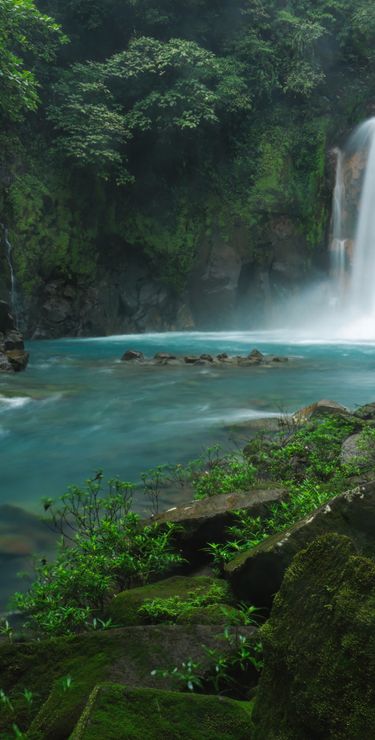 Einfach magisch – der türkisblaue Fluss Rio Celeste, der sich durch den Regenwald schlängelt.