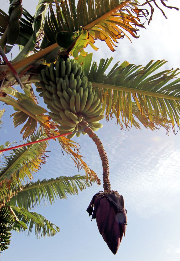 Wander-Verpflegung gefällig? Nichts einfacher als das!