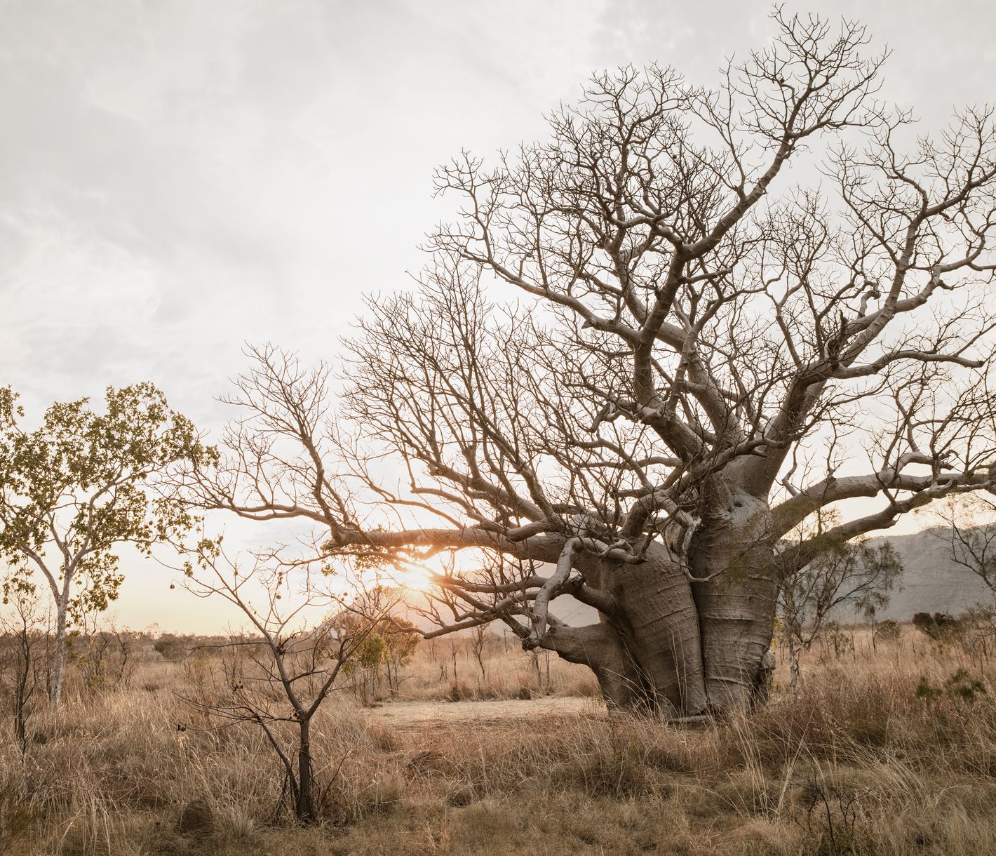 El Questro Wilderness Park