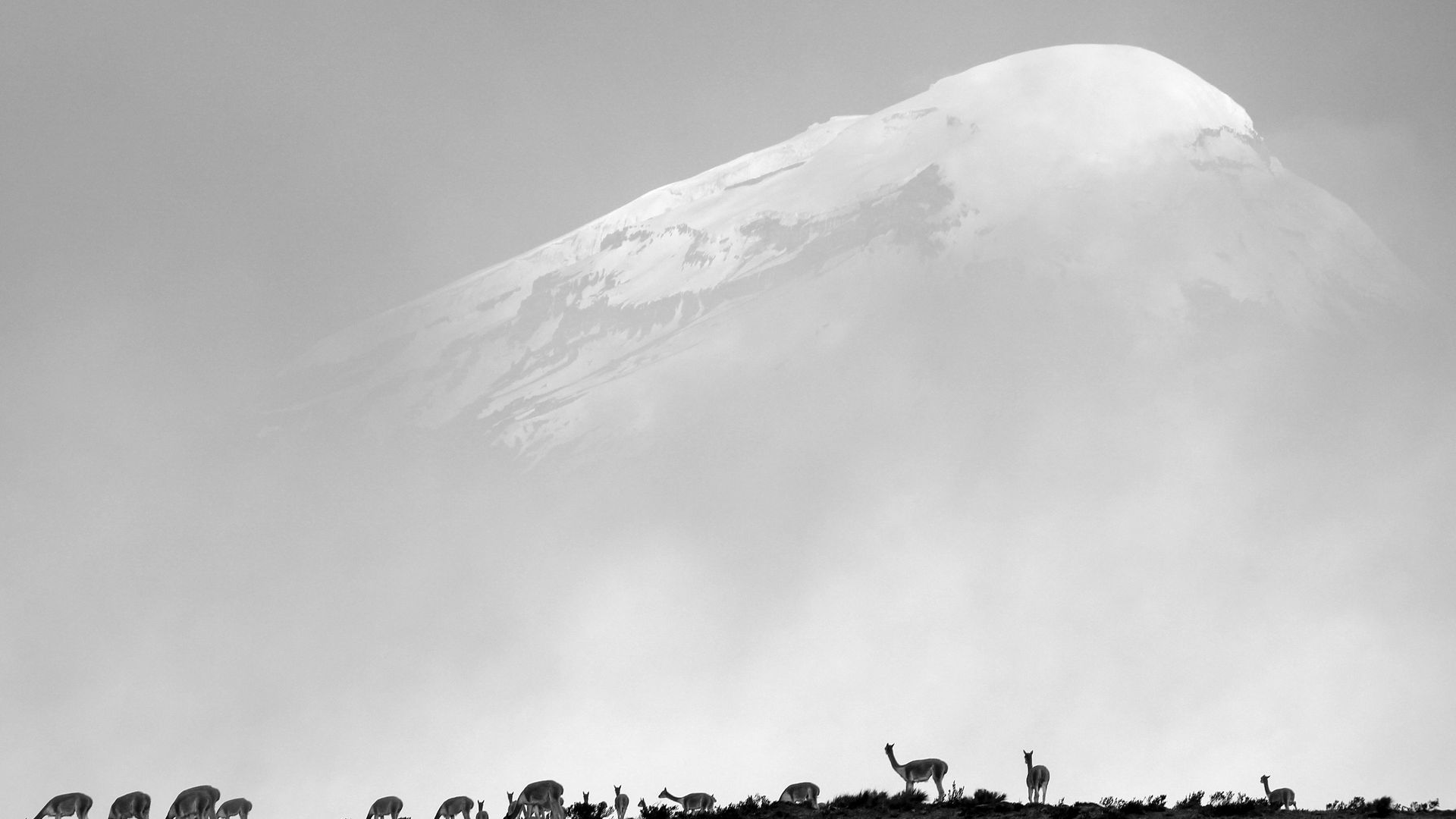 Chimborazo, un volcan qui tutoie les cieux