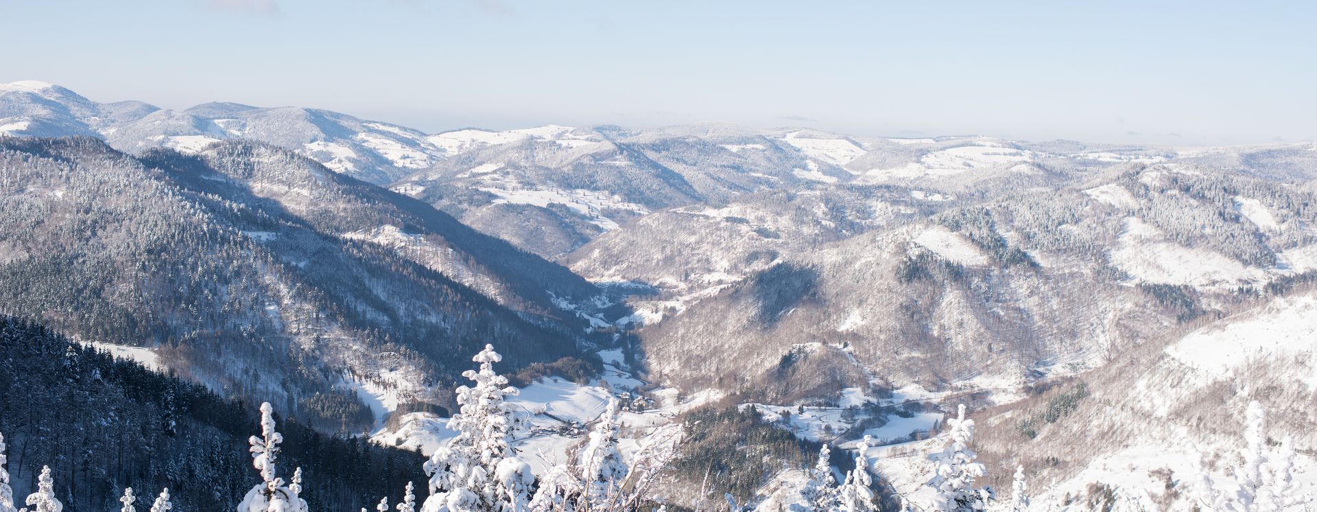 Blick auf den Schwarzwald im Winter