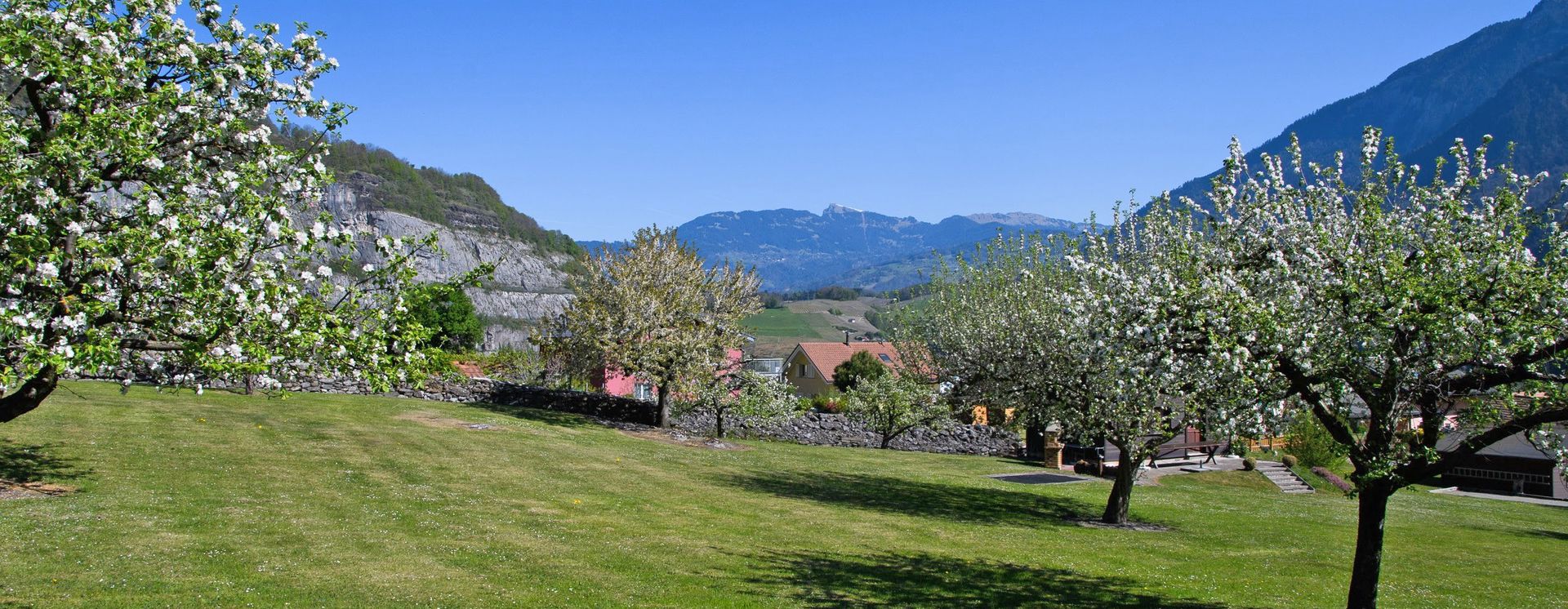 ©Tintinphotographie