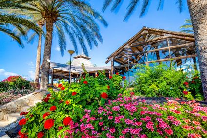 SBH Costa Calma Beach Resort