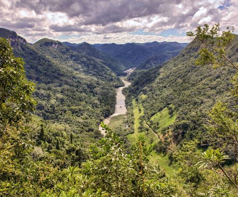 La rivière Macal s'écoule paisiblement au coeur du poumon vert du pays