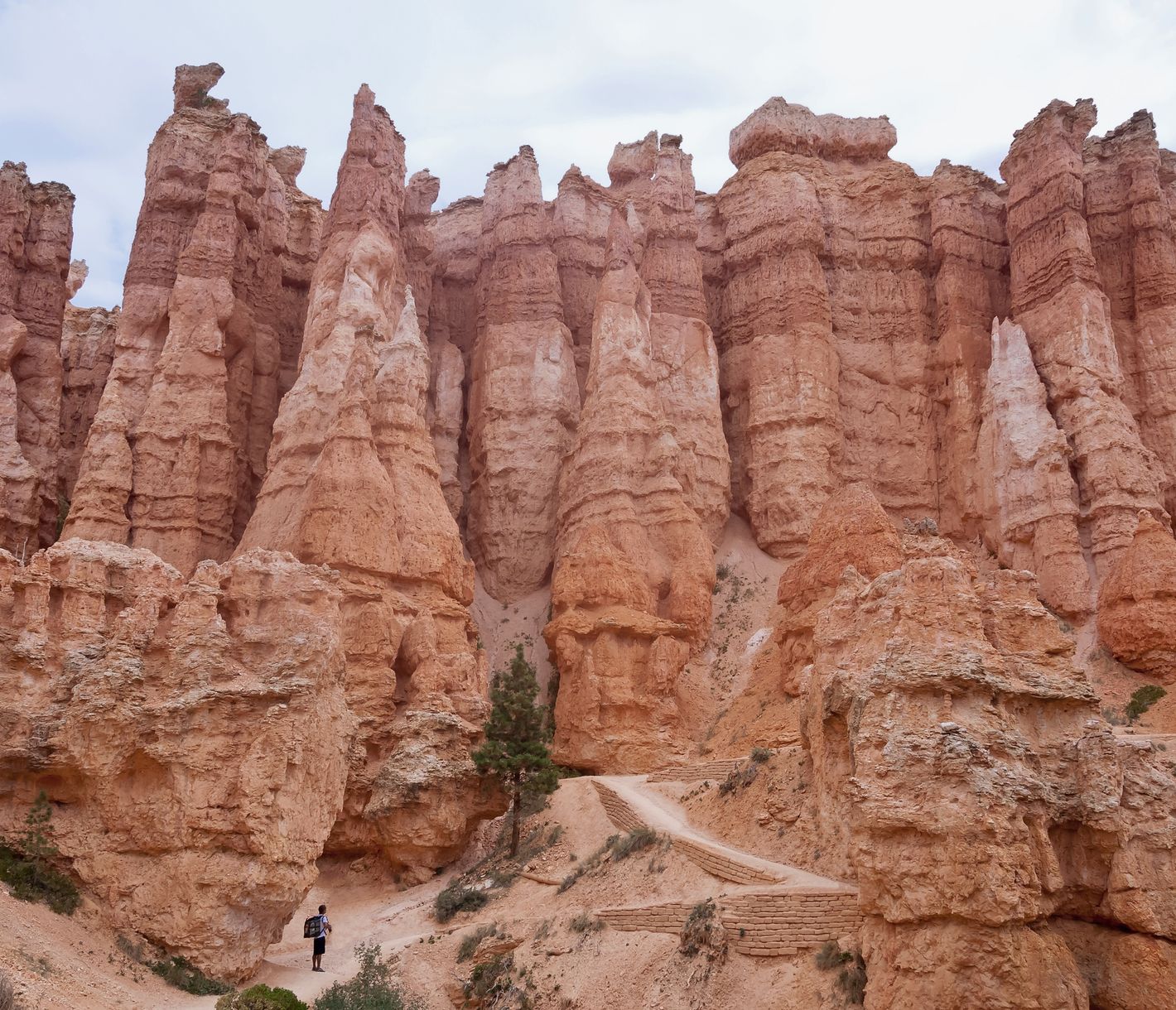 Viele Wanderwege im Bryce Canyon winden sich durch rot leuchtende Steintürme.