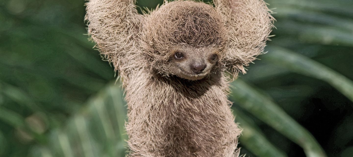 Welch liebenswertes Lächeln.