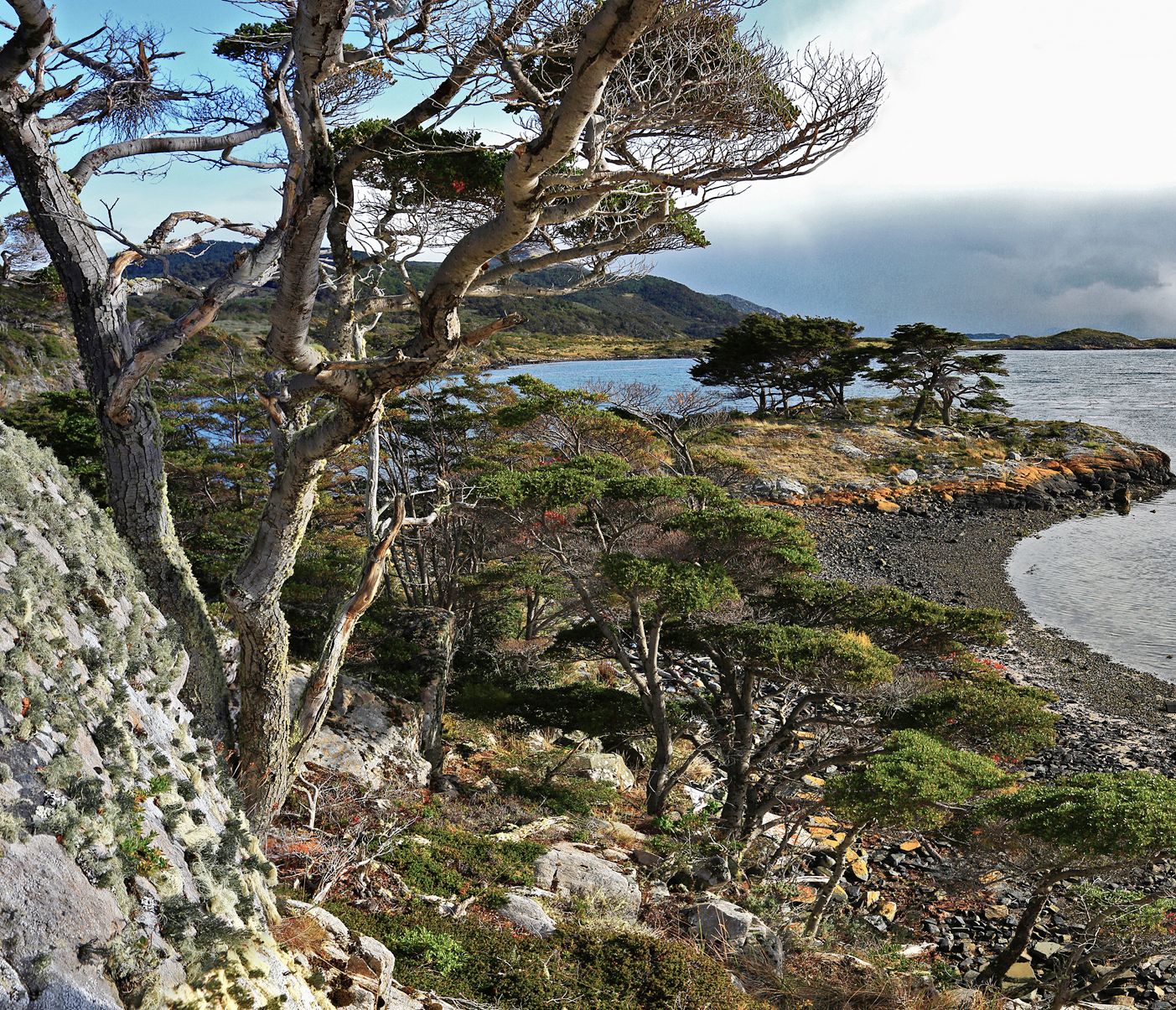Auch Wanderungen durch die einzigartige Landschaft Feuerlands stehen auf dem Programm.
