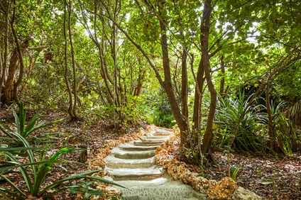 15. Bild der Unterkunft